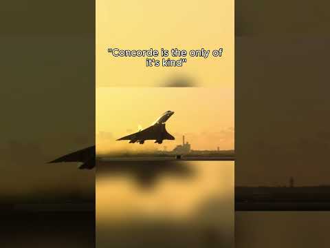TU-144 or Concorde? | #avgeek #aviation #aviationlovers #plane #concorde #TU-144 #pilot #shorts
