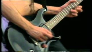 Rollins Band (Dutch TV 1995) [06]. Shine (Pinkpop 95)