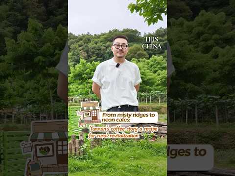 From misty ridges to neon cafes: Yunnan's coffee story a recipe for rural revitalization