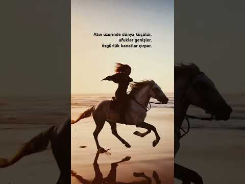 Atın üzerinde dünya küçülür, ufuklar genişler, özgürlük kanatlar çırpar. #at #atlar #sunset #love
