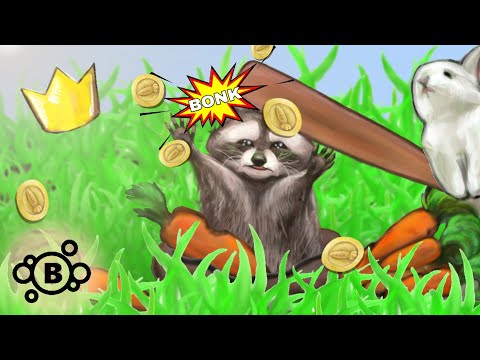 Rabbits vs Raccoons video thumbnail