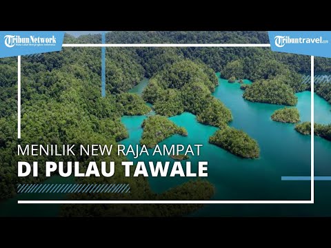 Eksplore Tempat Wisata Pulau Tawale, Sandiaga Uno: 'Raja Ampat' Baru di Halmahera Selatan