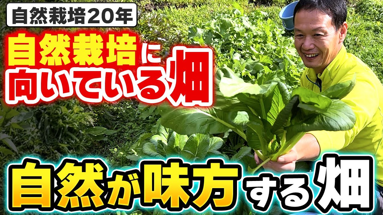 どんな畑でも大丈夫!自然を味方につけて土を蘇らせる自然農法の極意と土地選び