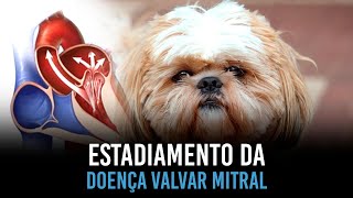 Estadiamento da doença valvar mitral em cães (ACVIM 2019)