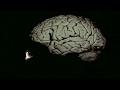 Guided By Voices - Expecting Brainchild [PCB wondermuddle video]