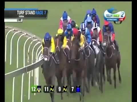 2015 Group 1 Empress Club Stakes - Majmu