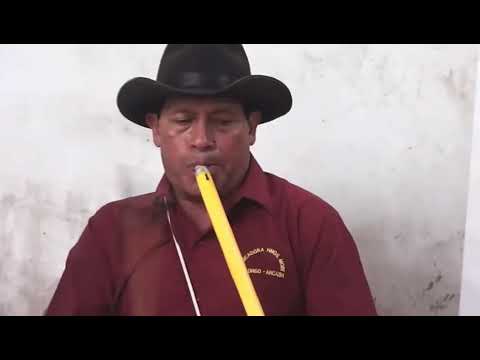 Roncadoras de los Hnos Mori y los Hnos Rosales - Corongo, Ancash / Tema: “Te sigo amando”.