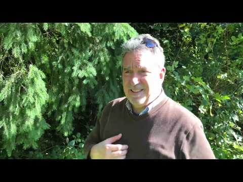 Gil and Brenda: Emotions That are Buried Never Die