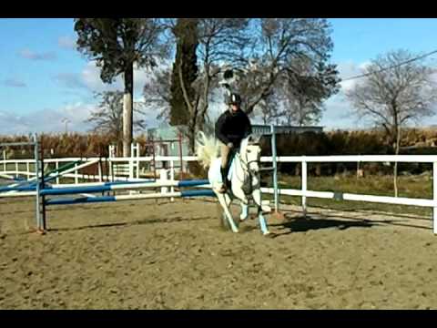 Laboratorio con Sora galope 4