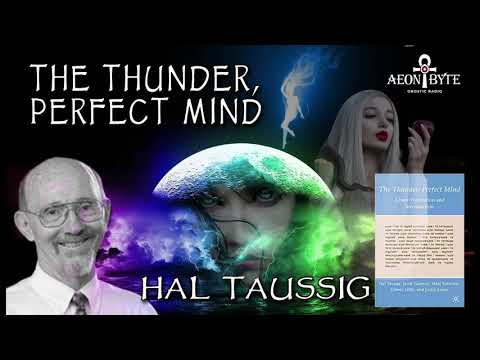 The Thunder: Perfect Mind