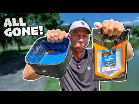 What Happens When You Give Andy Findlay ONE Bag of Pellets?