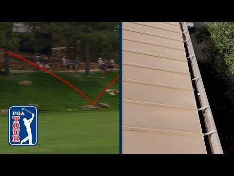 What are the ODDS?! Most unique shots of the 2024 PGA TOUR Season