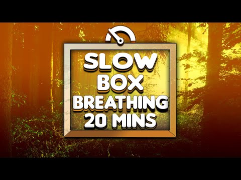 Guided Box Breathing (Slow Counts) | 20 Minutes