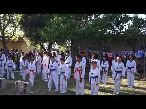Taekwon Kids Demo Team - Nixon Elementary School 2017