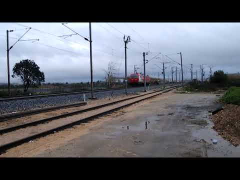 Comboio n.º 28417 - Entroncamento