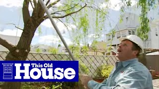 How to Prune a Large Tree - This Old House