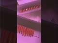 WISPY Bomb Ass Press On Nails