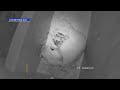Lincoln Park Zoo S 3 Newest Lion Cubs Doing Well