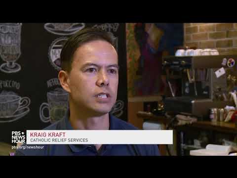 The race to develop coffee that can survive climate change