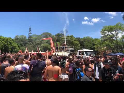 Árvore da Vida - Lasmar (Muito Sol e caminhão pipa ❤️)