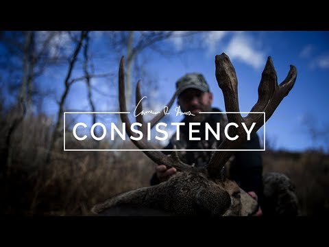 Cam Hanes | Consistency