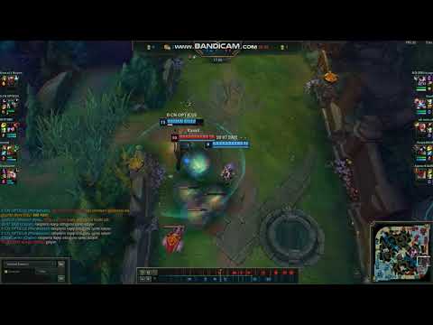 League of Legends Yuumi Bug