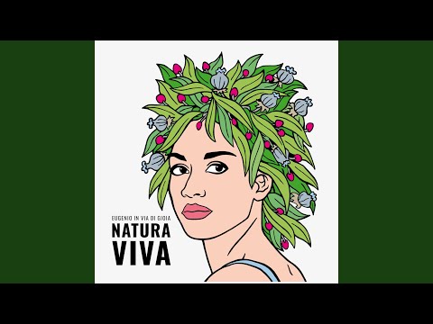 Albero video