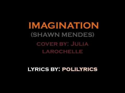 Imagination (Shawn Mendes) - cover by Julia Larochelle