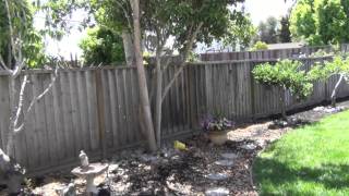 Санта Круз с Рондой и Гейл. Многосерийная видео-опупея с продолжением. Часть 1.