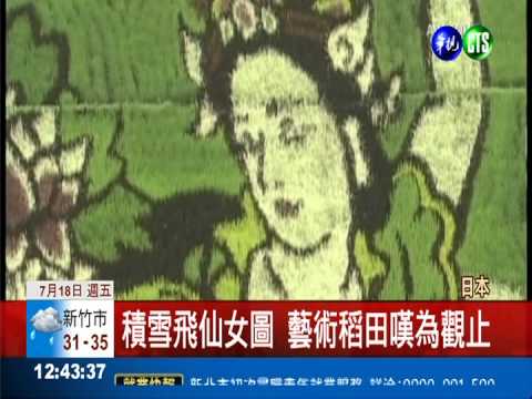 青森夏稻收成 六色稻子大搞創意