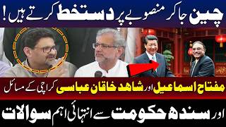 شاہد خاقان اور مفتاح اسماعیل نے سندھ حکومت کی کارکردگی پر سوالات اٹھادیئے