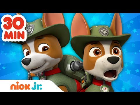 Capa de Patrulha Canina | 30 minutos dos melhores resgates do Tracker na selva! | Nick Jr. em Português