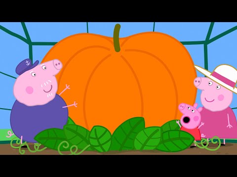 Capa de A abóbora gigante | Peppa Pig Português Brasil Episódios Completos