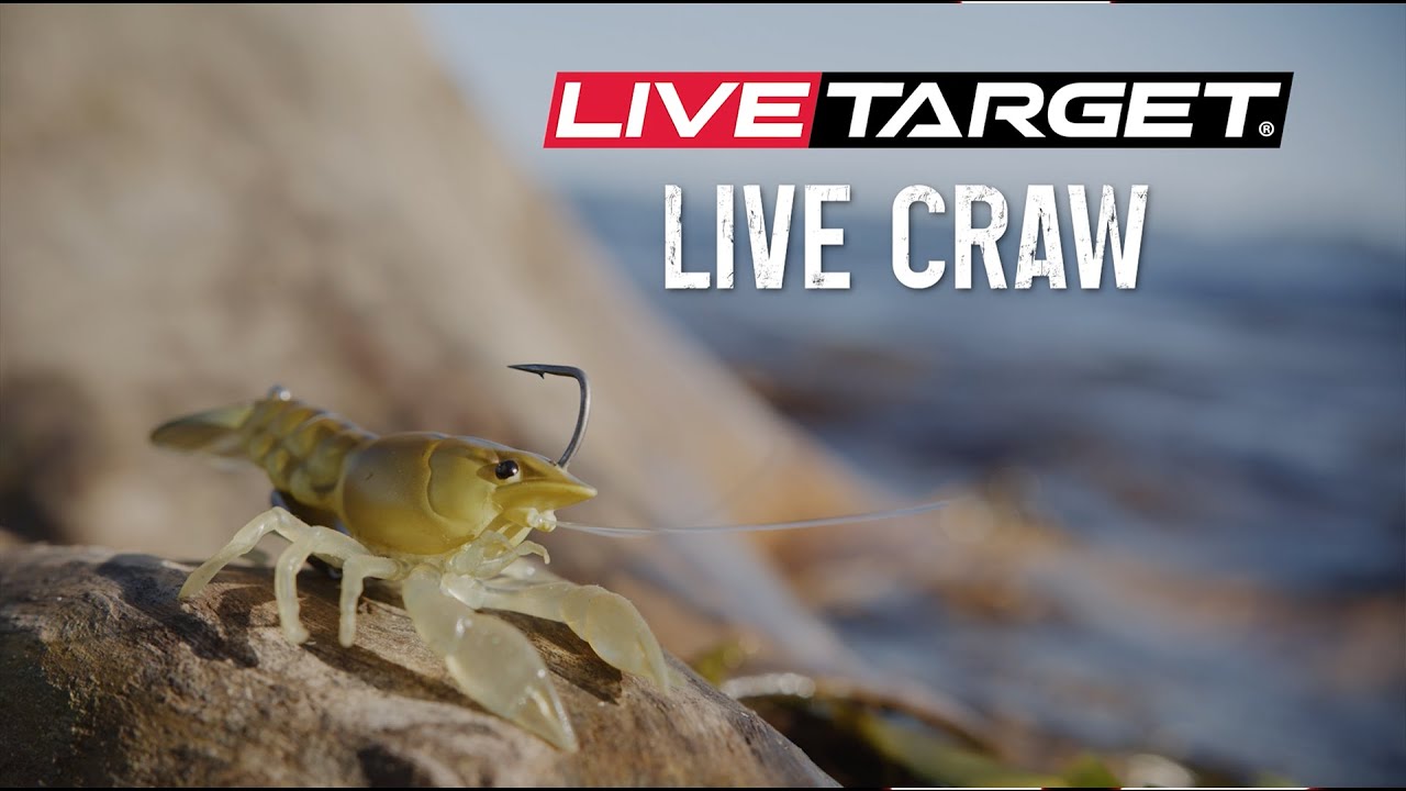 Live Craw Finesse Bait