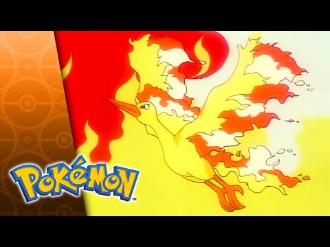 All Fired Up! | POKÉMON FULL EPISODE 20 | Season 2