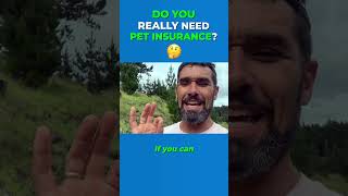 Do You Really Need Pet Insurance?