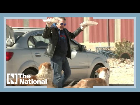 The man who spends 1,000 Jordanian dinars a month to feed stray dogs