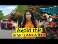 Watch This BEFORE You Come To Sri Lanka A Locals Guide