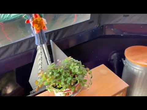 Wide Beam 60ft Cruiser Stern  - Boatshed - Boat Ref#271436