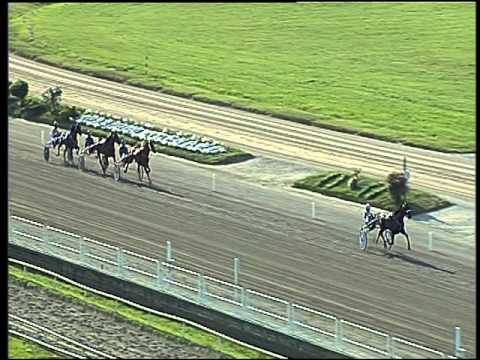 Trotto 06/05/2016 - prova di qualifica