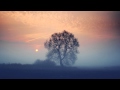 Mapps - Soulstice 