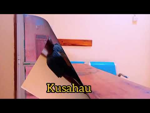 Salumu umeme power solution 