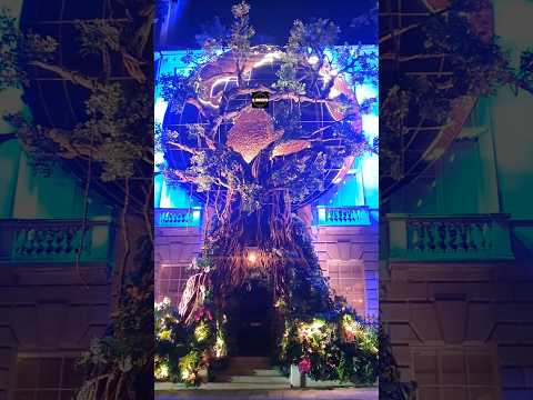 ANNABEL'S 🇬🇧 #annabels #design #london #uk