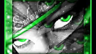 40 Below Summer - Endorphins