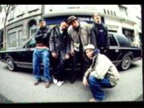 Lyroholika - Küstennebel