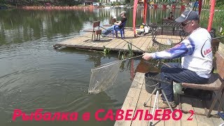 Ловля карпа на фидер в савельево