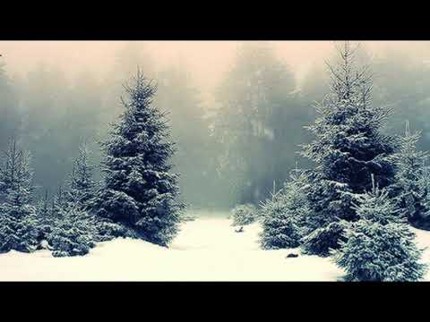 Zooloo75 / Xorberax - Winter Wonderland