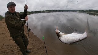 Ссылка