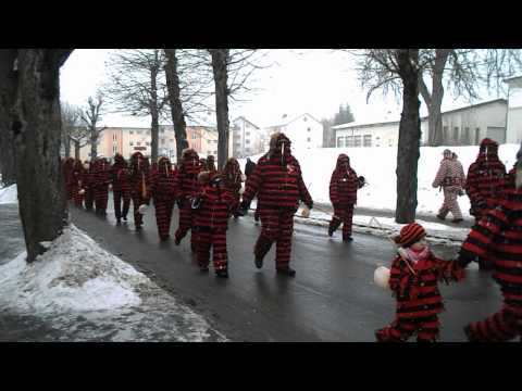 Hanselegruppe der NZ Engen beim Bonndorfer Umzug 20.01.13