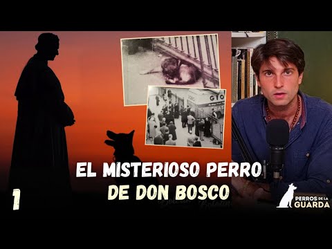 🔴 THE MYSTERY OF DON BOSCO'S DOG | Guard Dogs